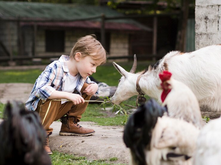 Visiting an Animal Rescue Sanctuary